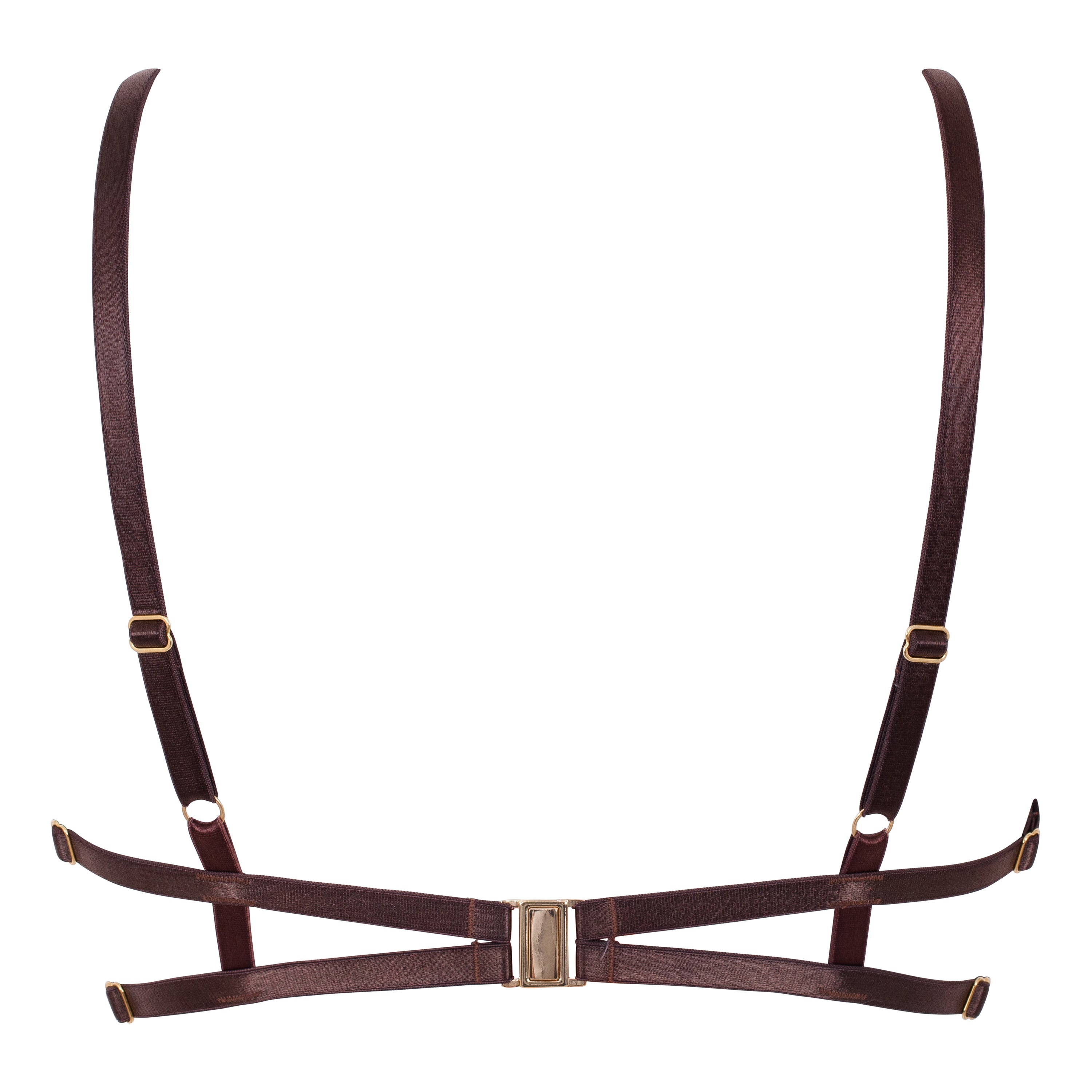 Divine Feminine Embroidery Classic Balconette Bra_Product_back_Ihuoma 