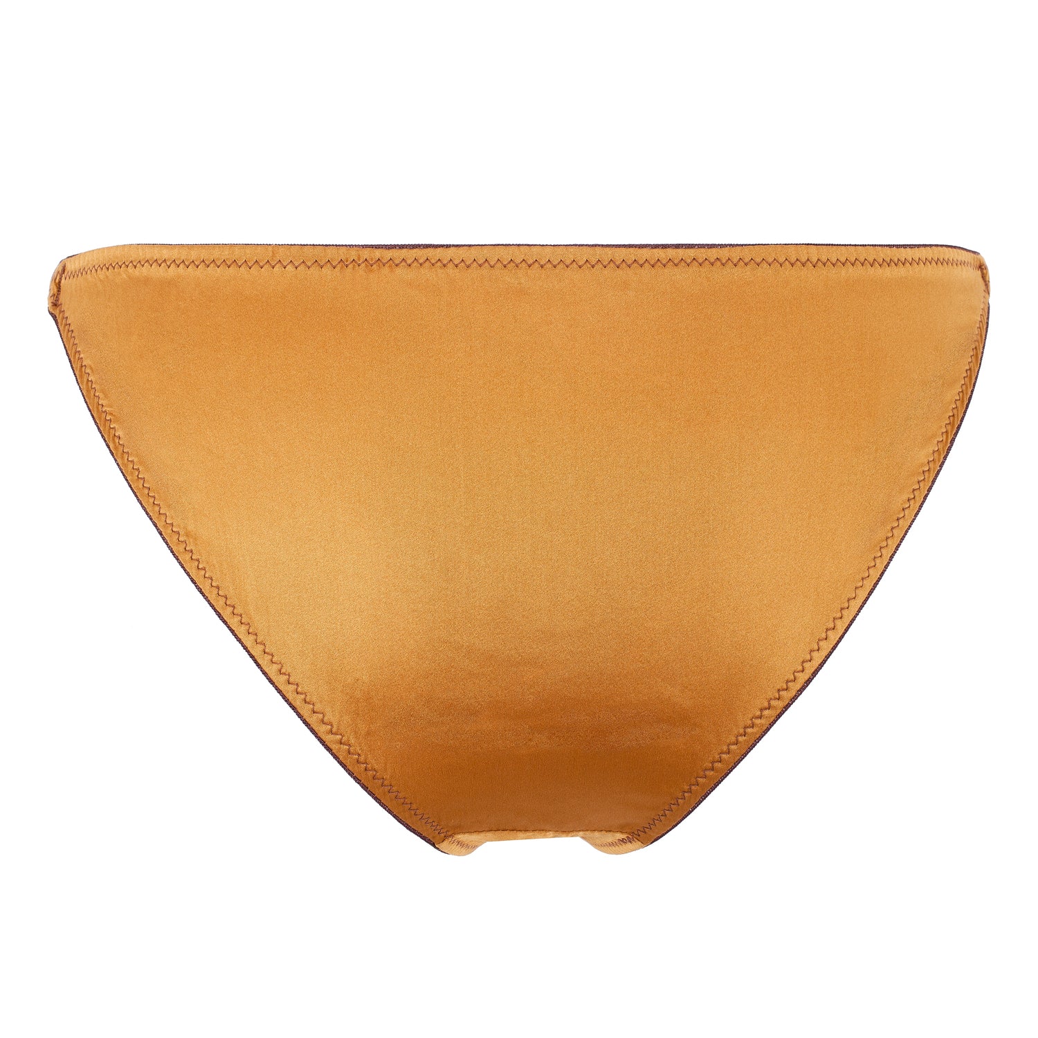 Oshun Gold Silk Tanga Brief_Product_Back_Ihuoma